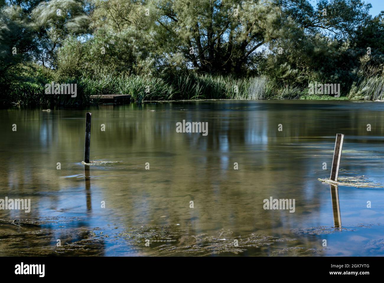 Calm water on a lake in a quiet countryside location Stock Photo