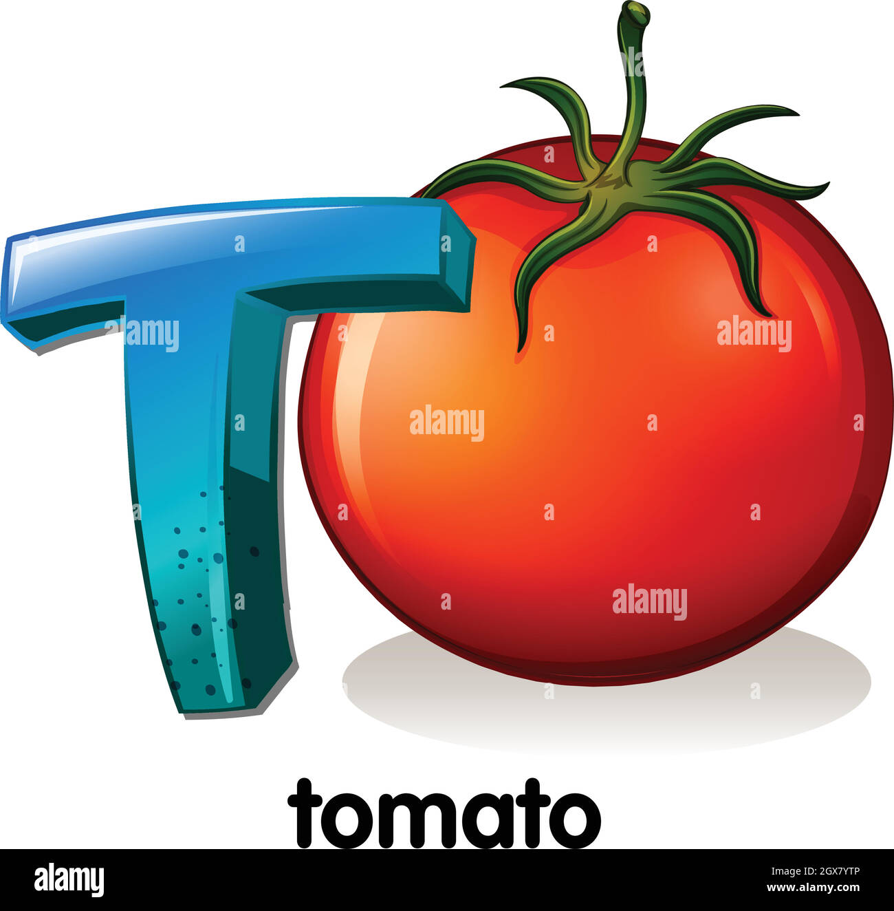 A letter T for tomato Stock Vector