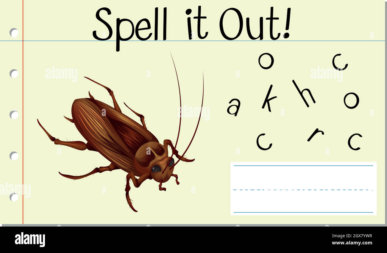 Spell English Word Cockroach Illustration Stock Vector Image Art Alamy