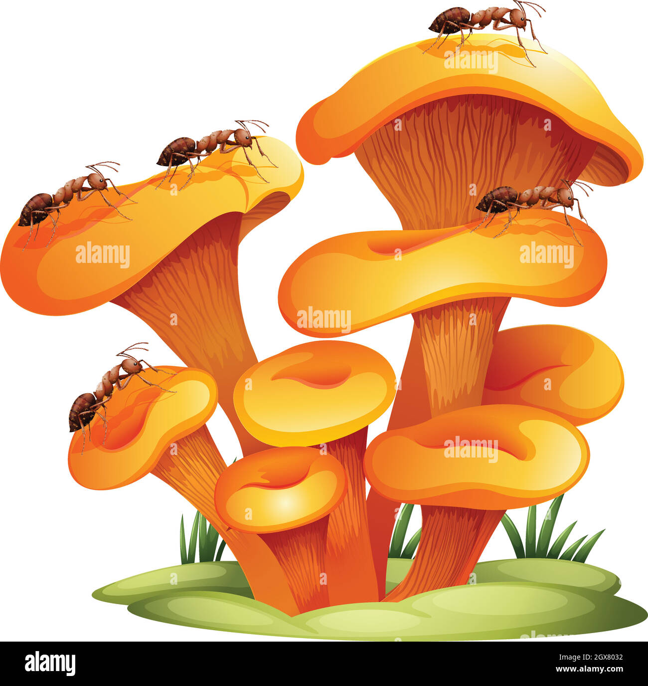 Fungi with ants Stock Vector