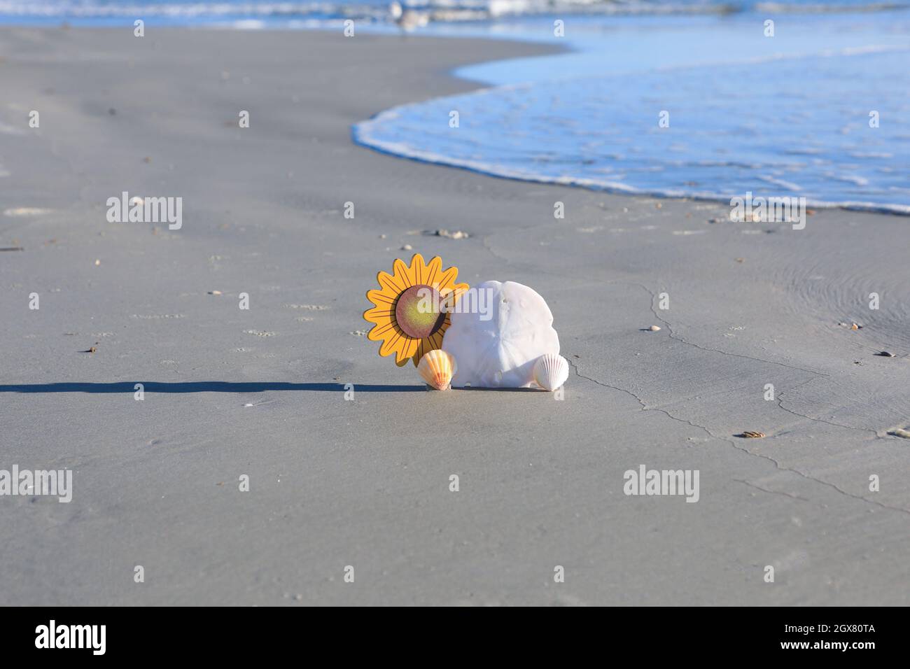 Fall on the Beach Ocean Shore Seashells Sunflowers Thanksgiving Blessings Stock Photo