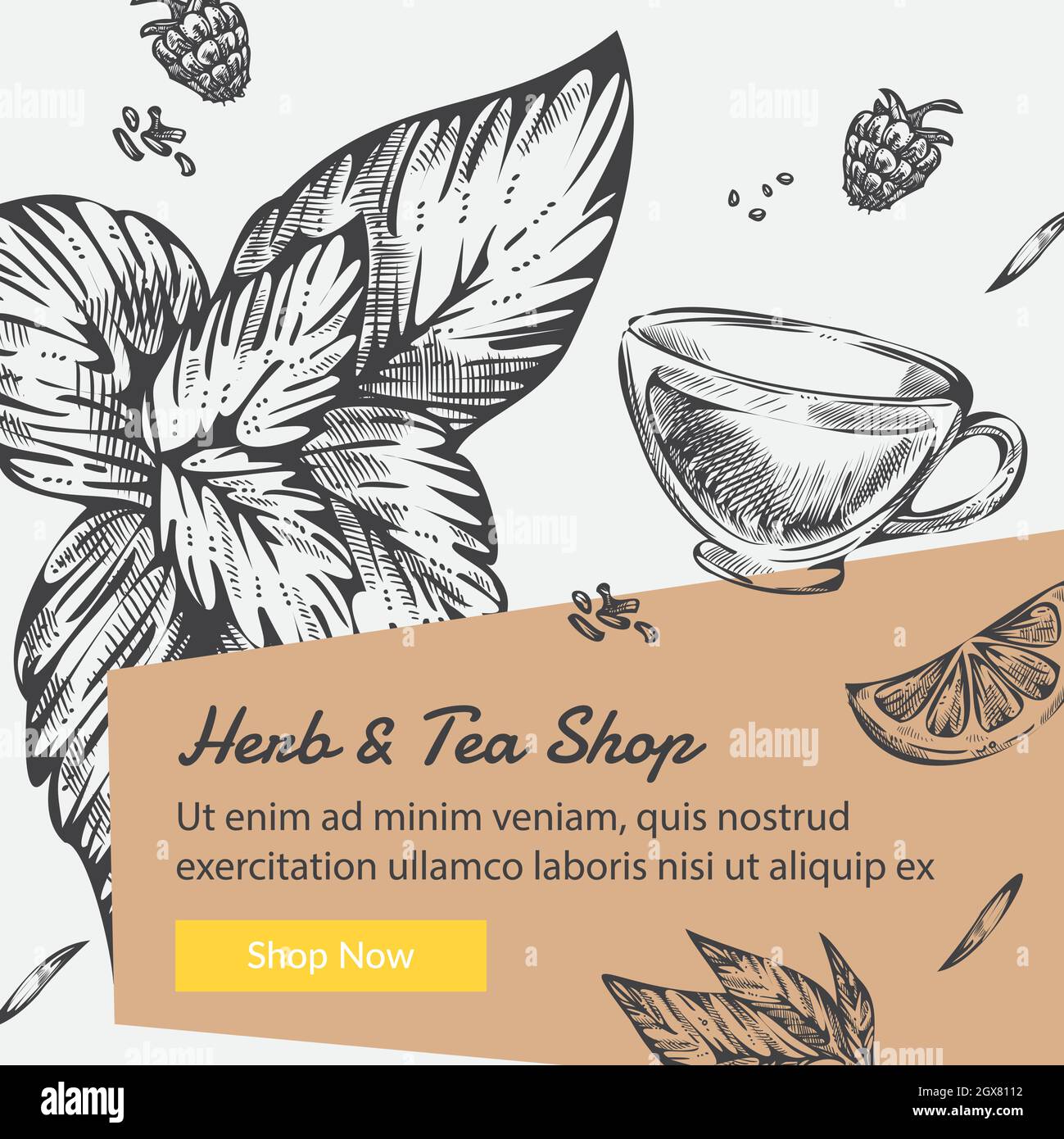 Herbs and tea shop, organic ingredients vector Stock Vector