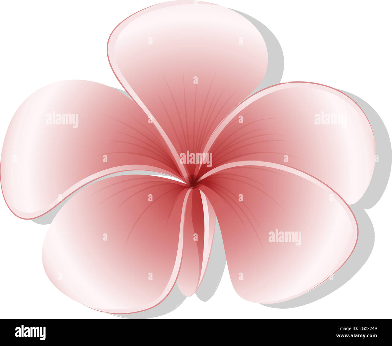 A light colored flower Stock Vector