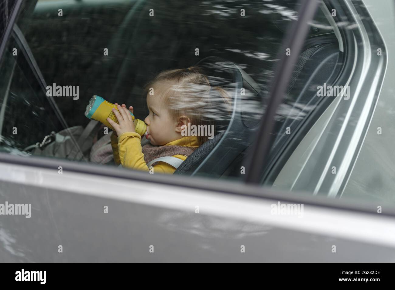 Little girl sitting in back seat of car drinking water Stock Photo
