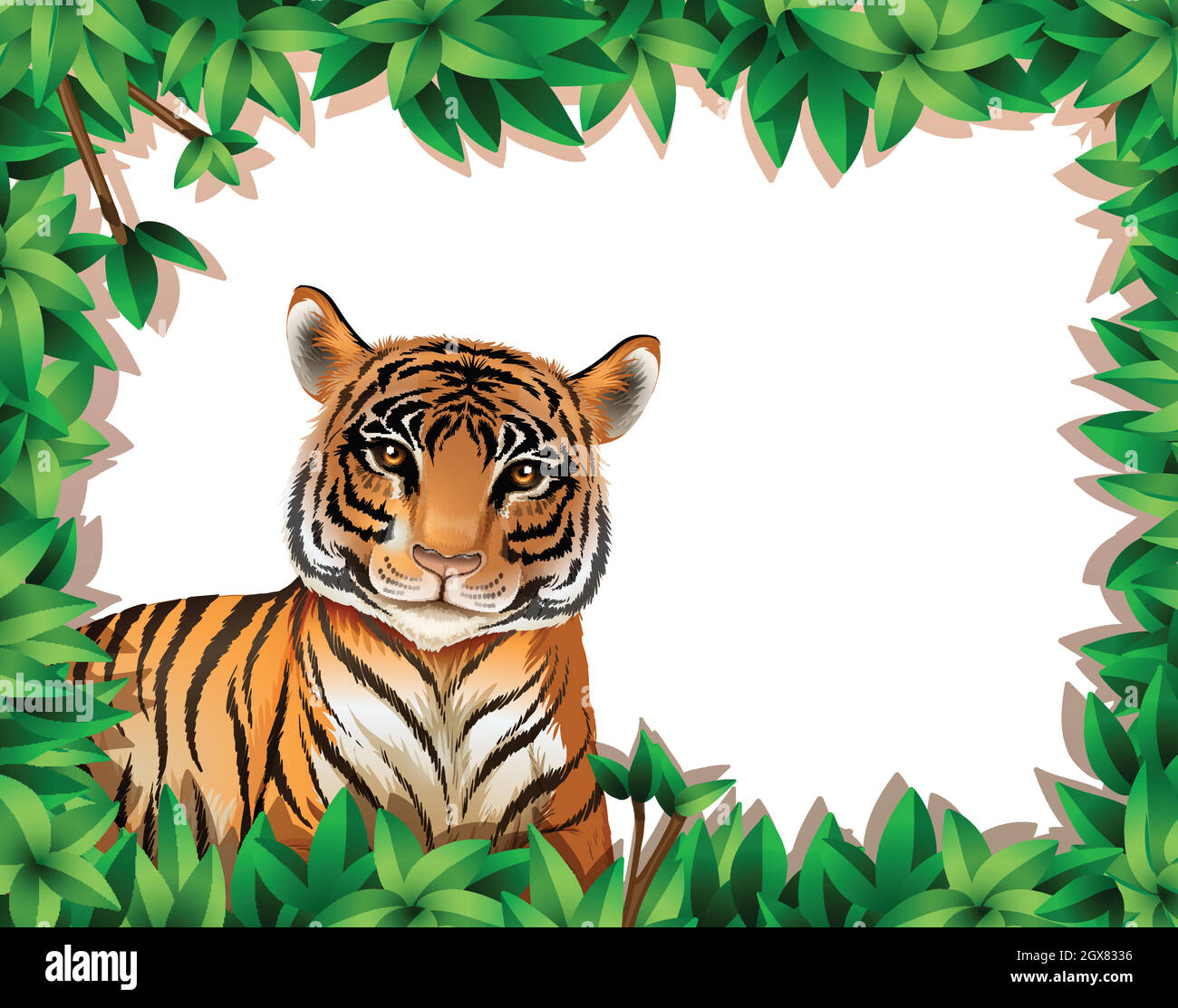 A tiger in nature frame Stock Vector Image & Art Alamy