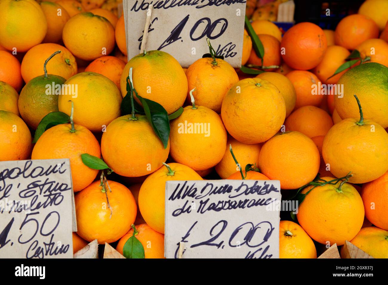 Italian oranges displayed by a fruit vendor at the Catania market