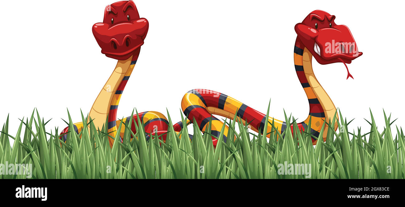 Two snakes on green grass Stock Vector
