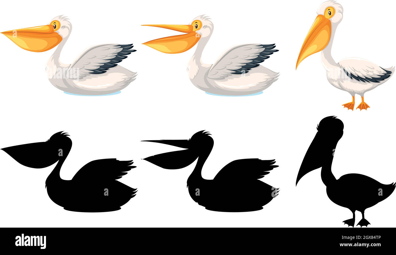 Set of pelican character Stock Vector