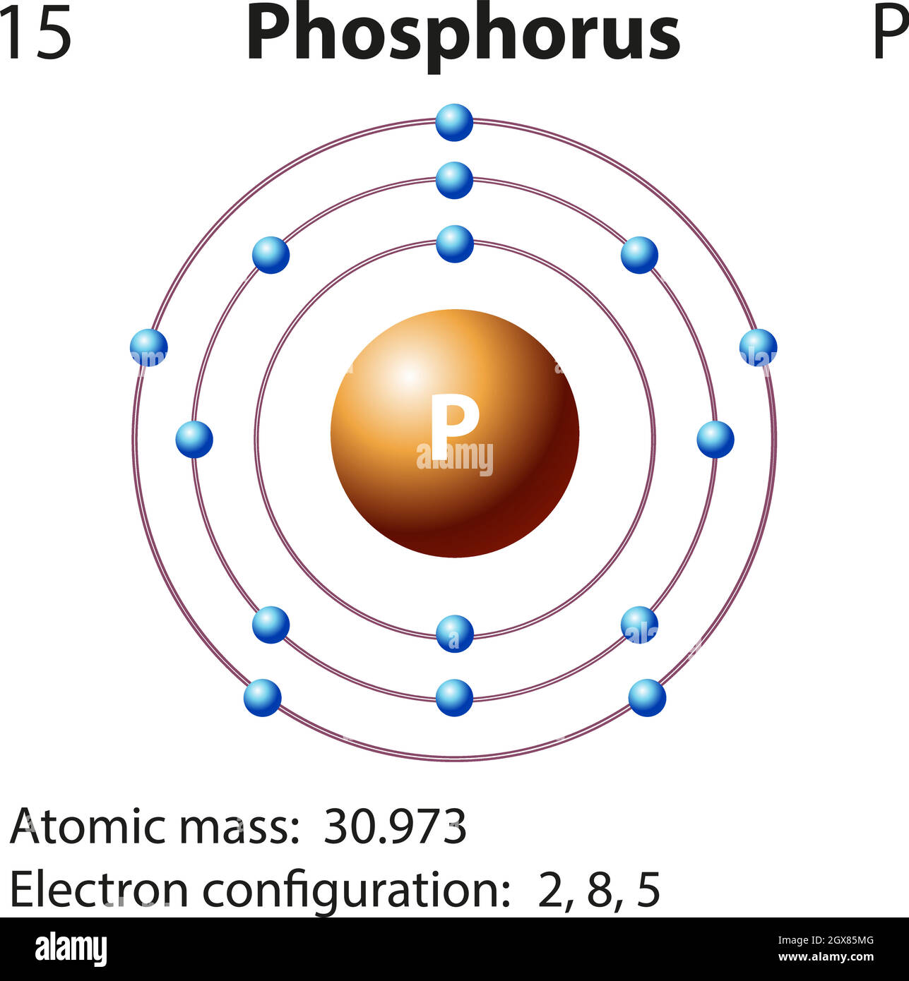 Phosphorus model