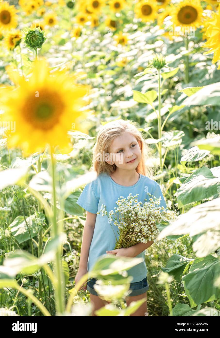 Happy little girl on the field of sunflowers in summer Stock Photo - Alamy