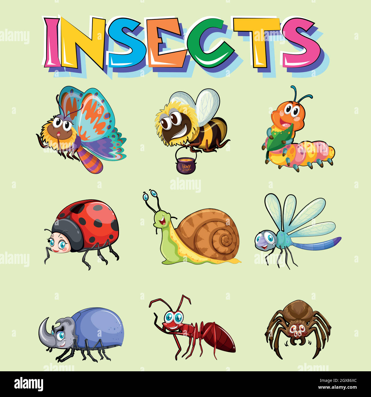 Different types of insects Stock Vector Image & Art Alamy
