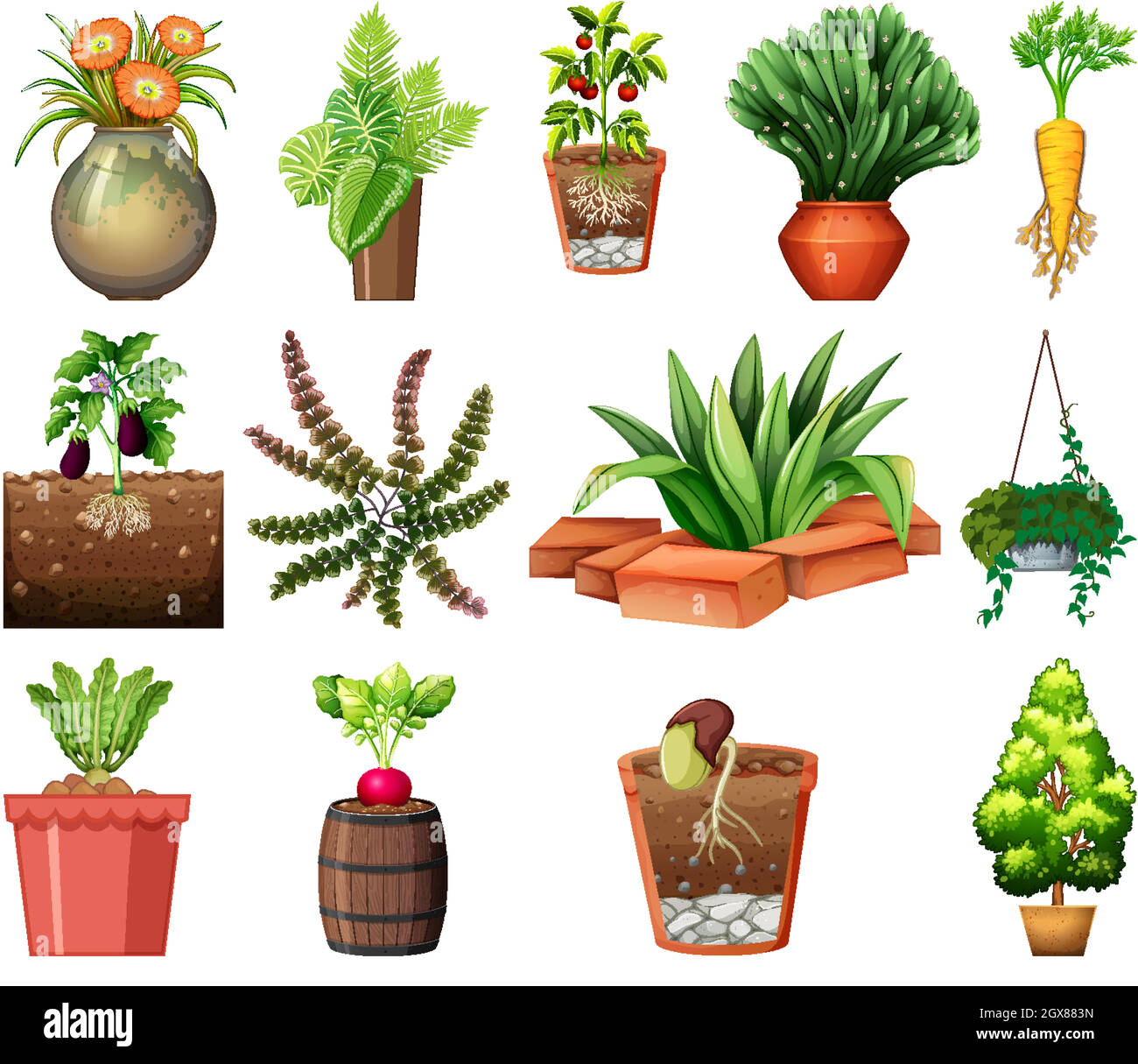 Set of different plants in pots isolated on white background Stock ...