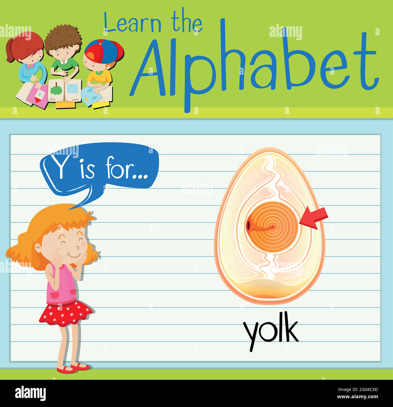 Flashcard letter Y is for yolk Stock Vector Image & Art - Alamy