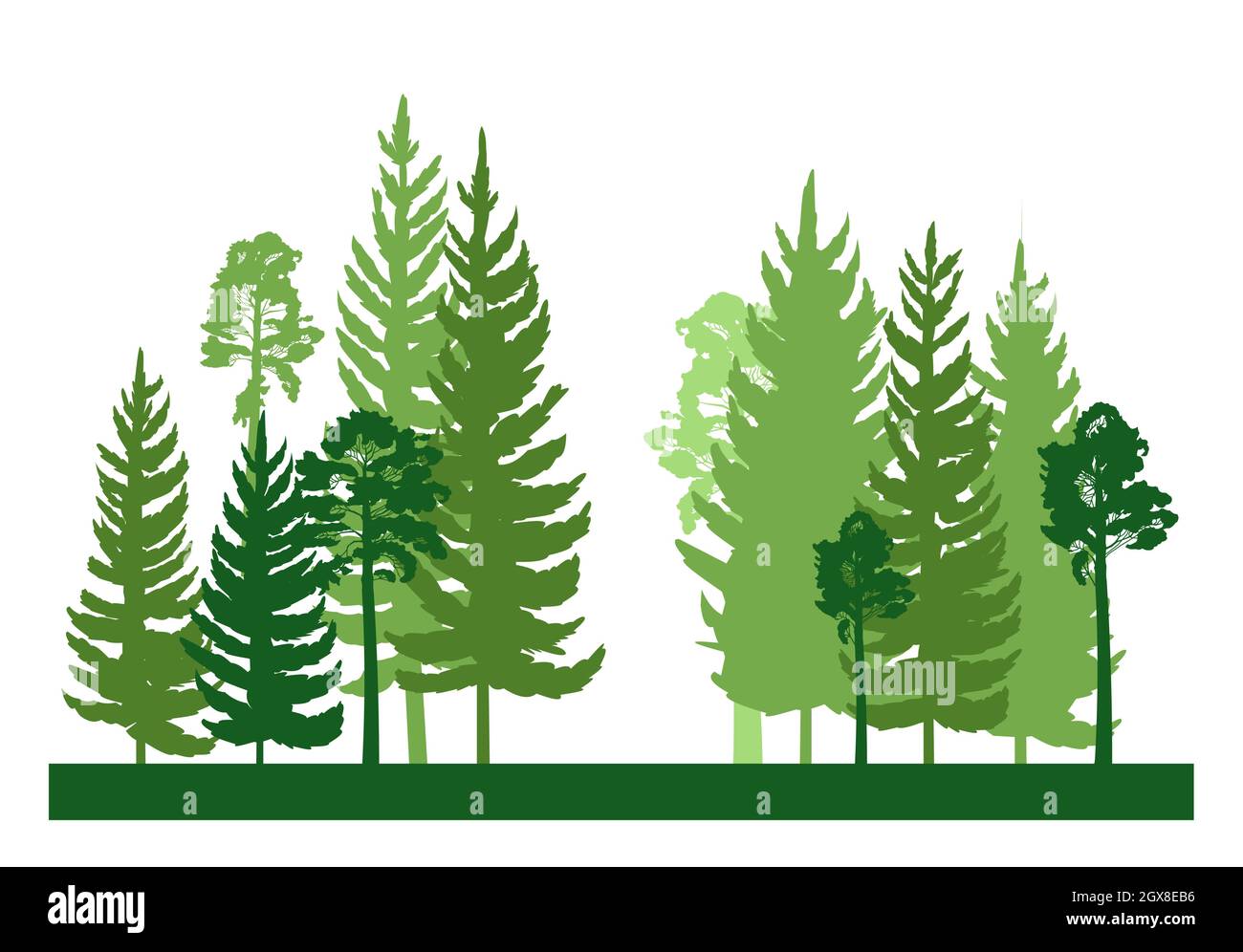 Forest silhouette scene. Landscape with coniferous trees. Beautiful green view. Pine and spruce trees. Summer nature. Isolated illustration vector Stock Vector