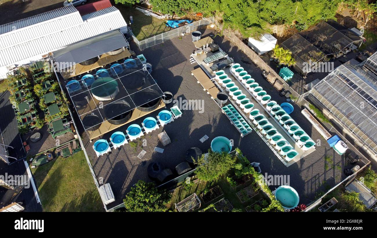 Aerial view of an aquaculture facility in Hawaii, Oahu, Hawaii, USA