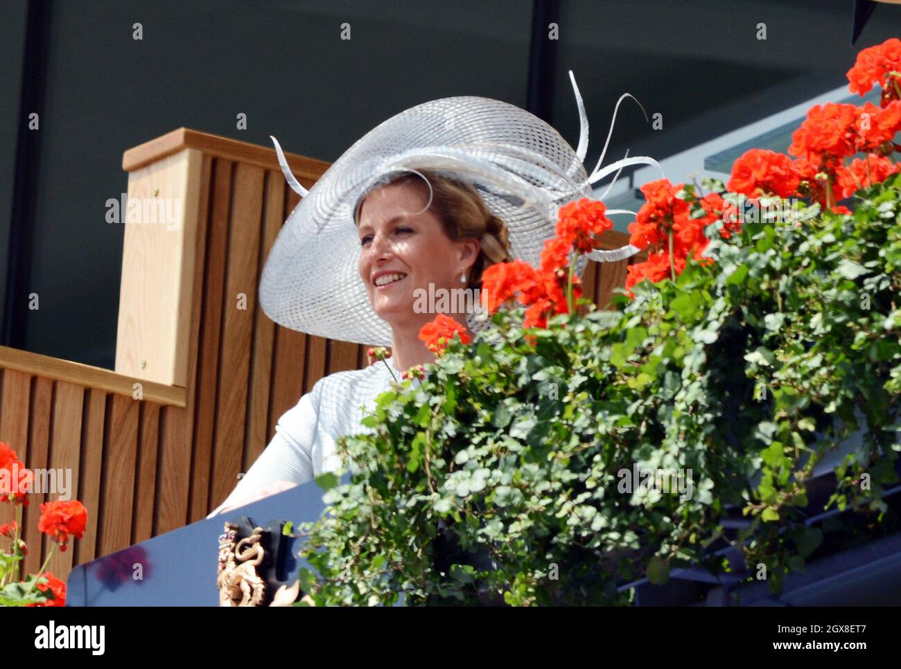 Sophie, Countess of Wessex attends day two of Royal Ascot on June 20, 2012 Stock Photo