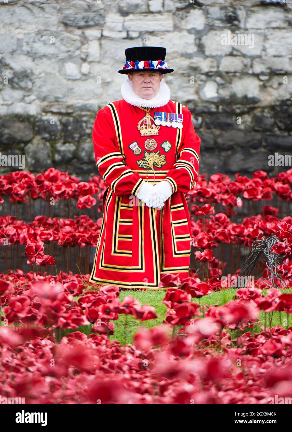 A beefeater stands amongst the ceramic poppies as Queen Elizabeth and Prince Philip visit The Blood Swept Land and Seas of Red Poppies installation at the Tower of London.  Each poppy symbolises a military fatality in World War 1. Stock Photo