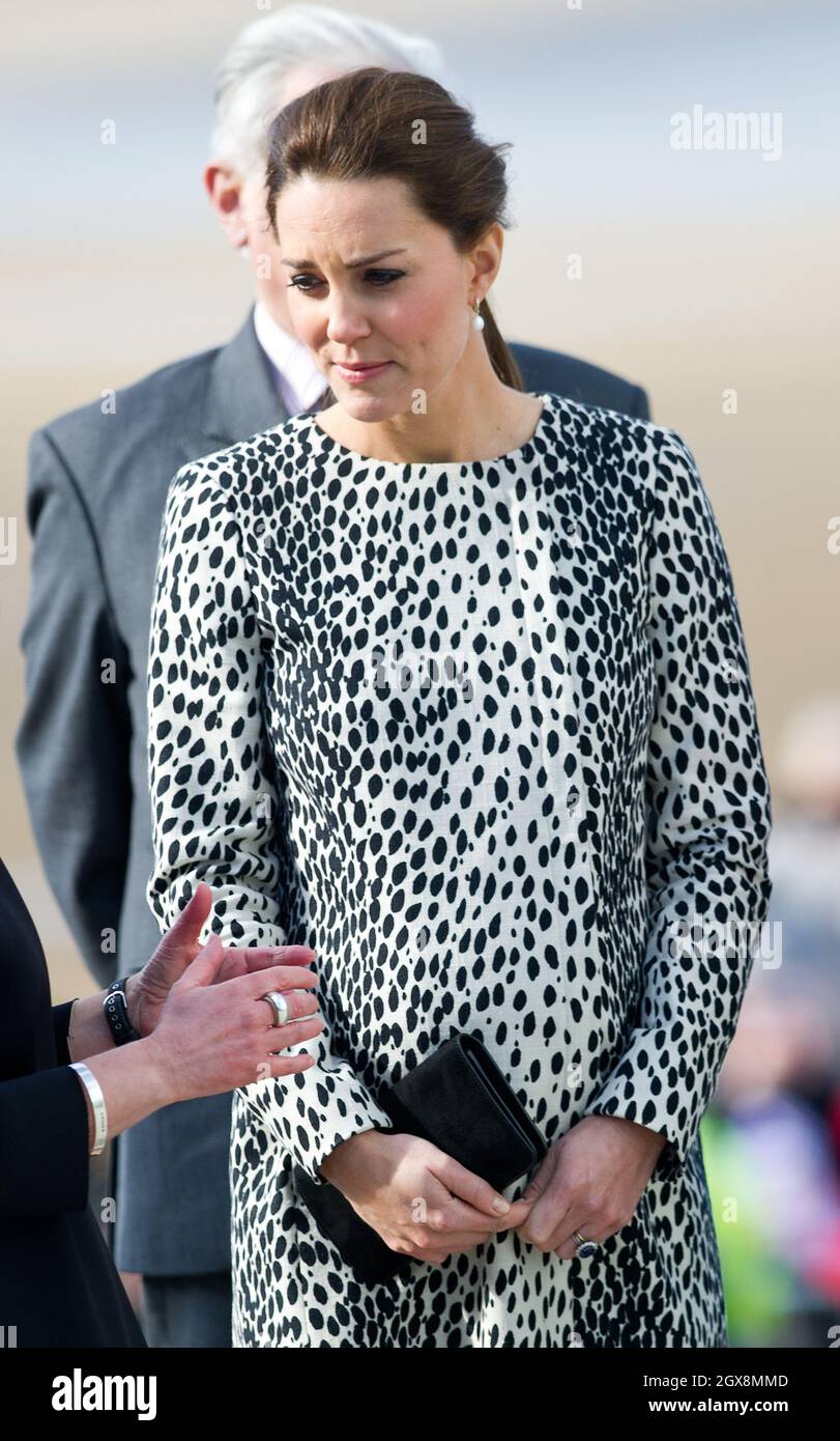 hobbs leopard print coat