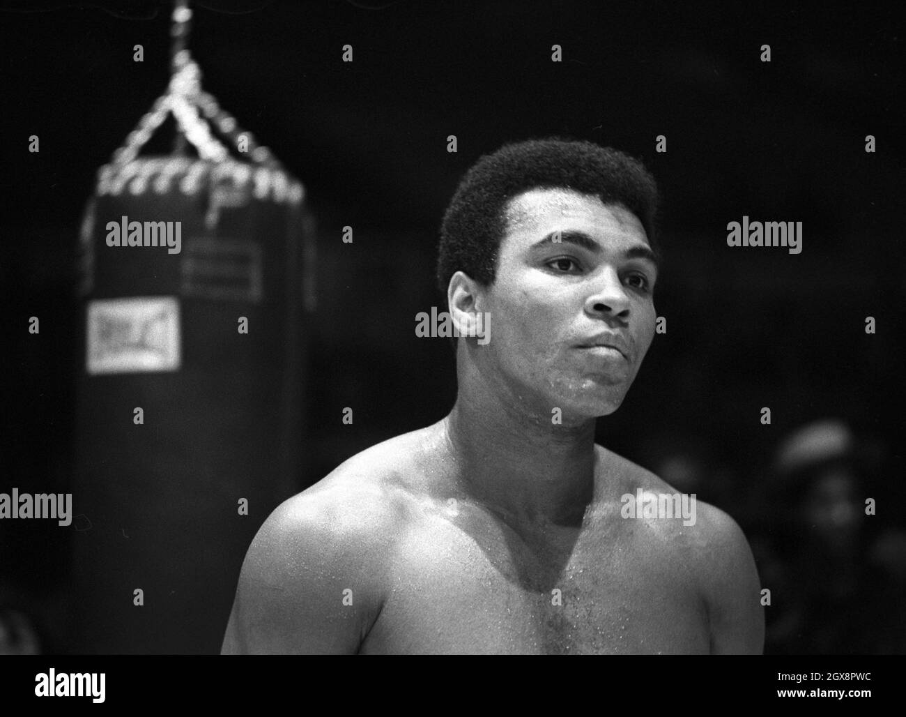 Heavyweight boxers Black and White Stock Photos & Images - Alamy