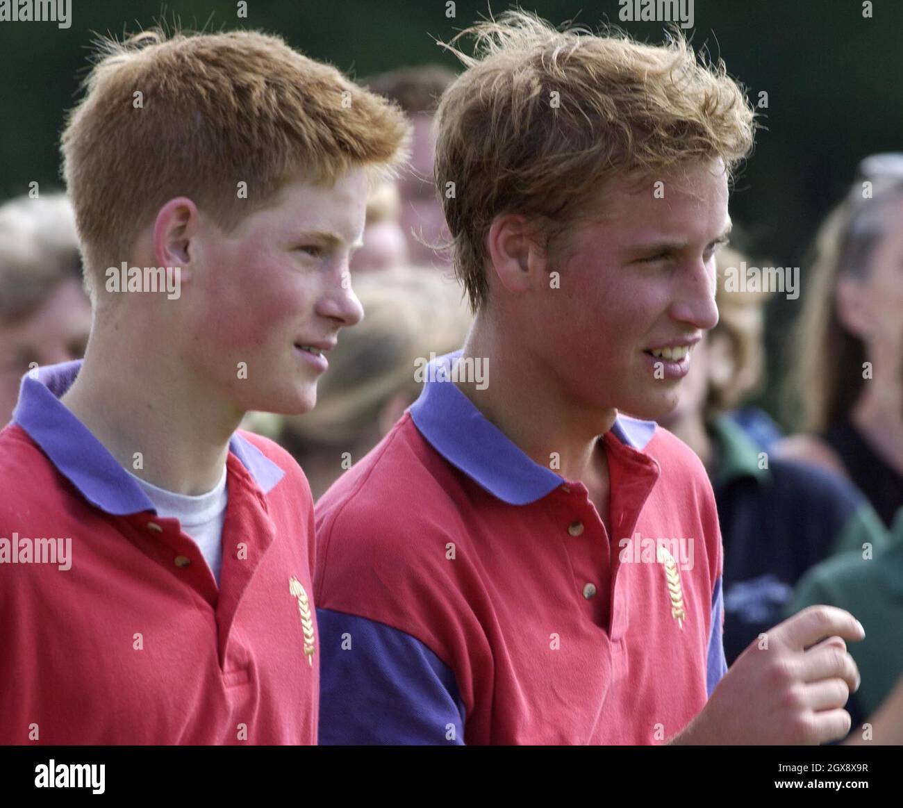 Princes William and Harry at Cirencester Polo Club in 2001.    Photo.  Anwar Hussein Stock Photo