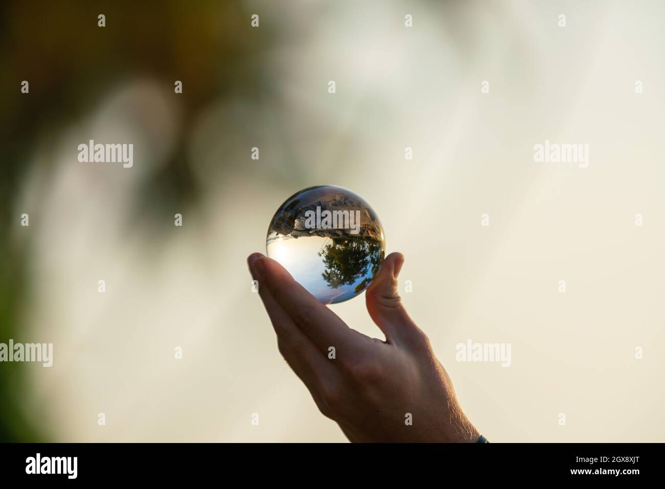 Holding glass ball. A tree reflected in a crystal ball at sunset. Sri