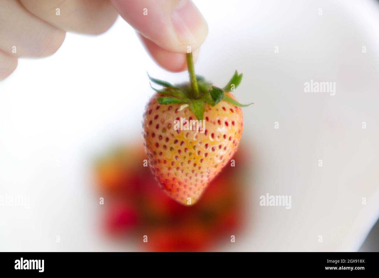 Hand holding strawberry on white background Stock Photo - Alamy