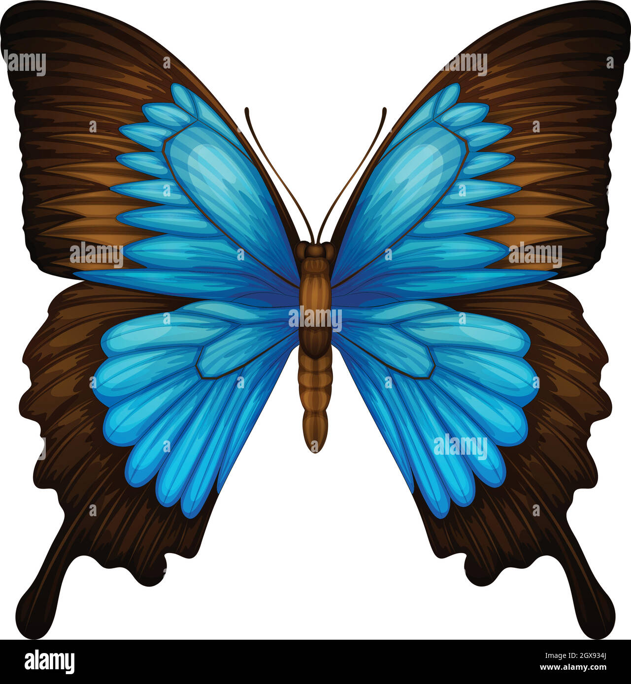 Blue Mountain Swallowtail Stock Vector