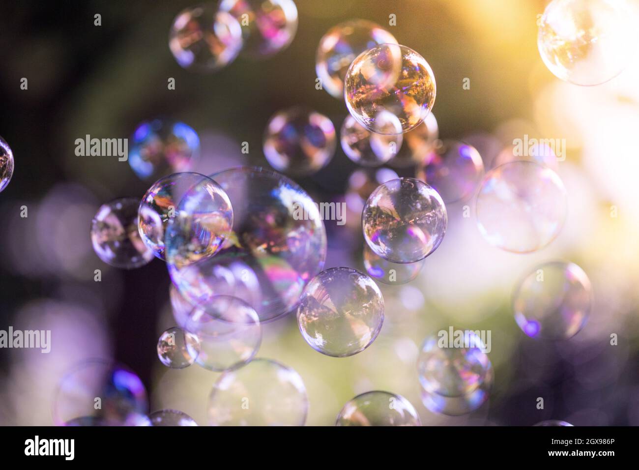 Colorful soap bubbles outdoors, summer time, fun Stock Photo Alamy