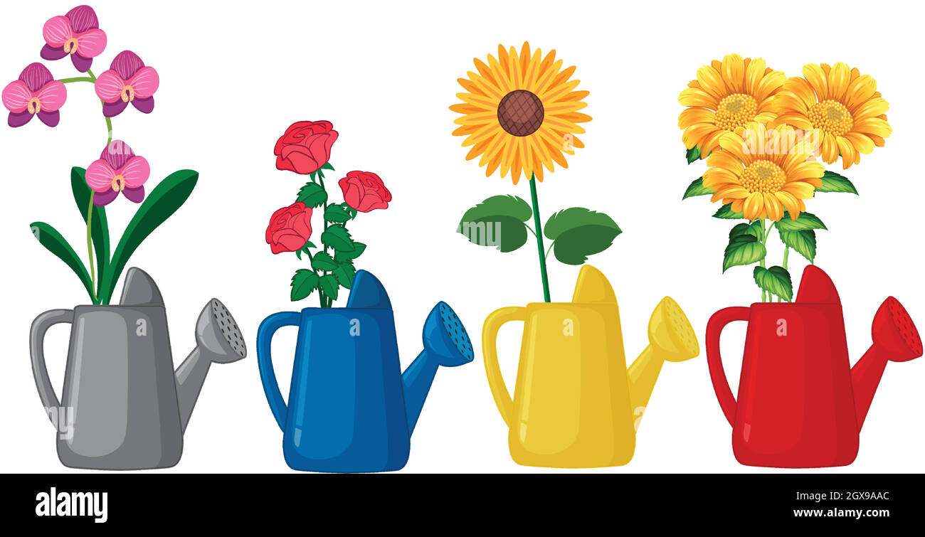 Watering can with flowers Stock Vector Images Alamy