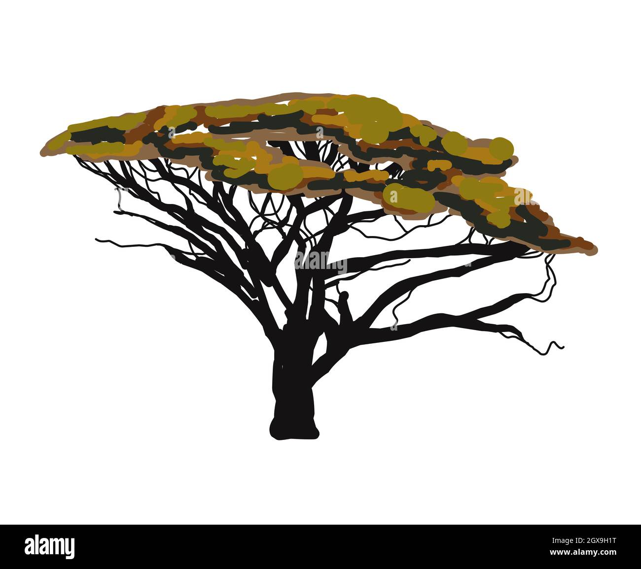 Acacia Tree Painting