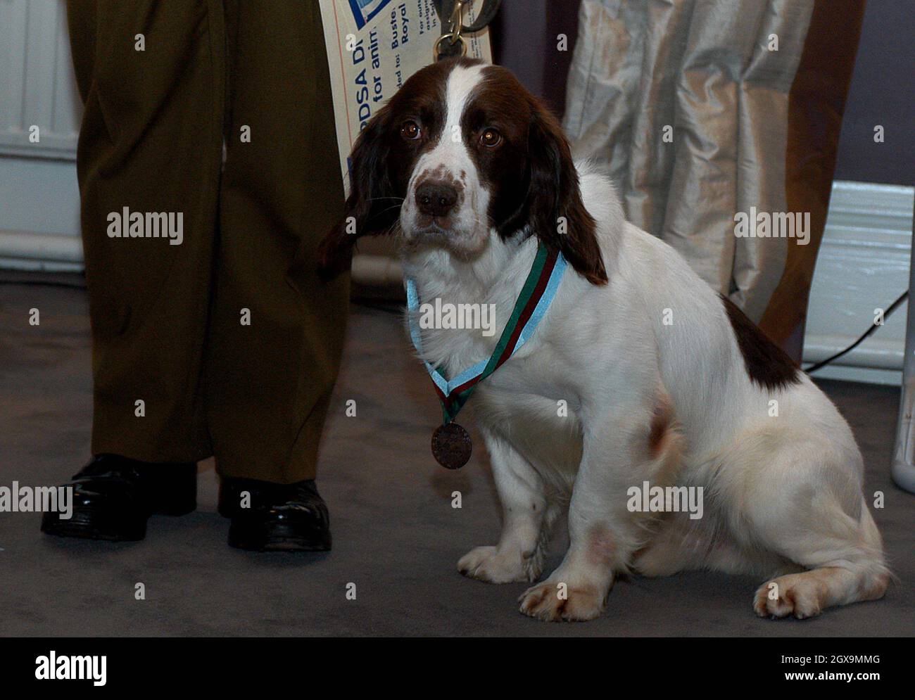 British Army dog Buster showing off his animals ' Victoria Cross