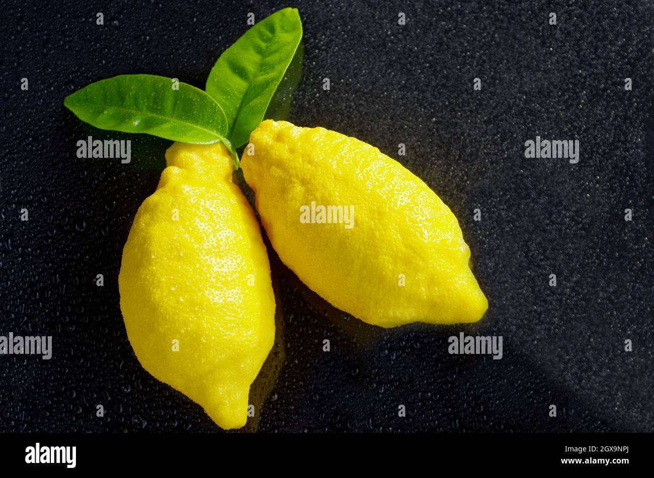 Large yellow lemons with green leaves on a black background and water ...
