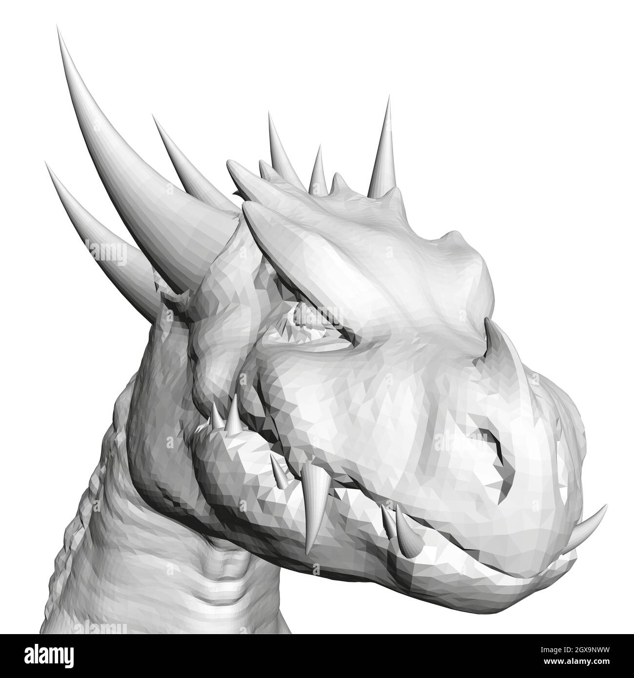Chinese Dragon Front View