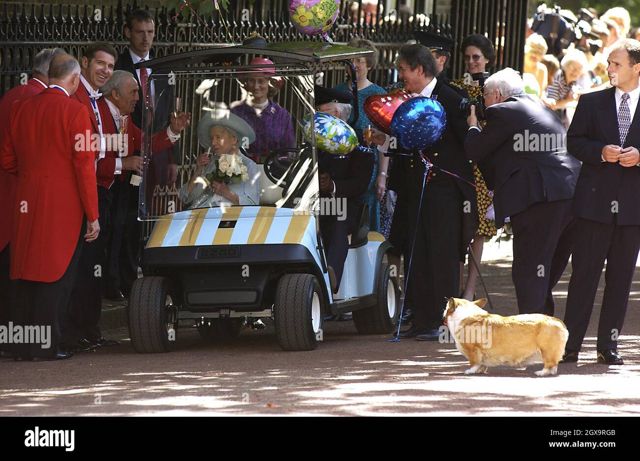 Corgis have been part of the Royal household for the past 50 years, but the  death of the Queen's favourite corgi at the hands of her daughter's bull  terrier has caused an