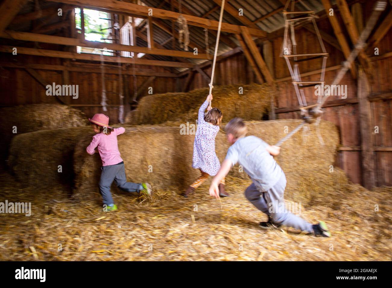 27 September 2021, Lower Saxony, Löningen: Children playing in the hayloft of a farm. Nature, animals and lots of fresh air - many families have spent their summer holidays on a holiday farm. Lower Saxony farms are also popular destinations for the coming autumn holidays. Photo: Sina Schuldt/dpa Stock Photo