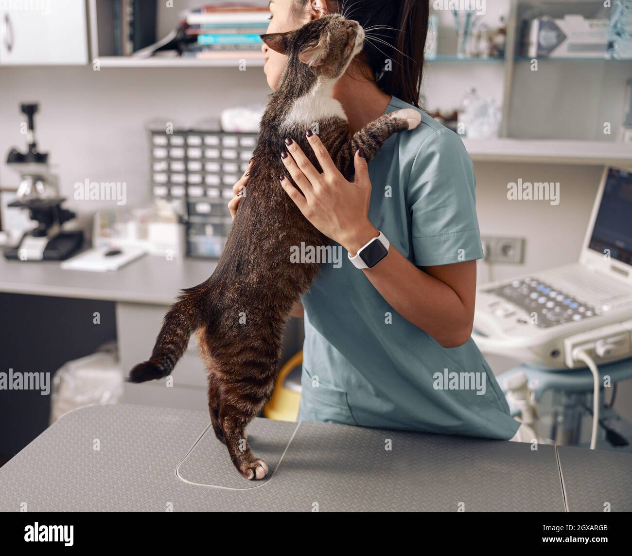 Asian veterinarian in uniform hugs tabby cat at table in clinic office Stock Photo