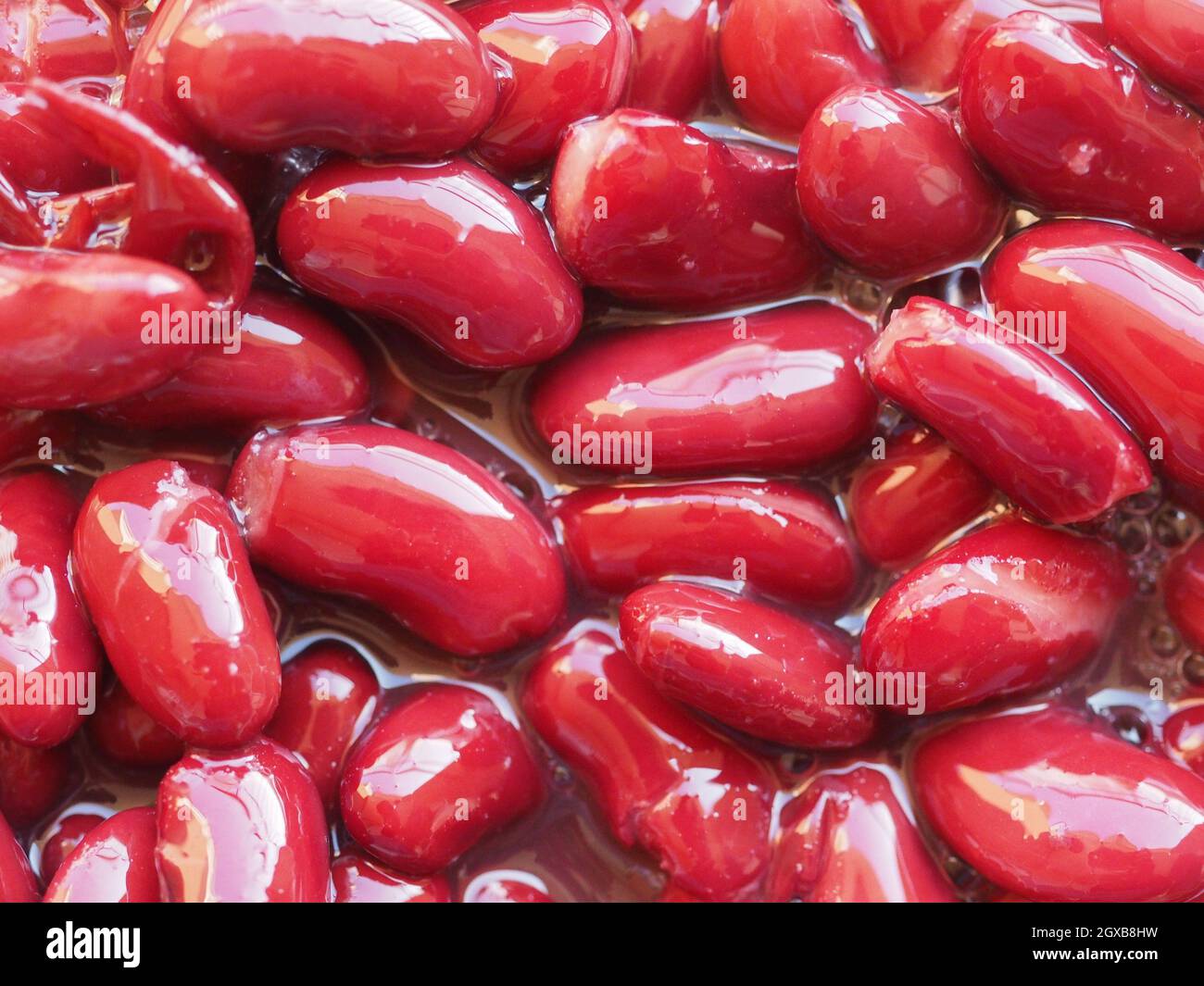 red kidney beans variety of common bean (Phaseolus vulgaris) legumes