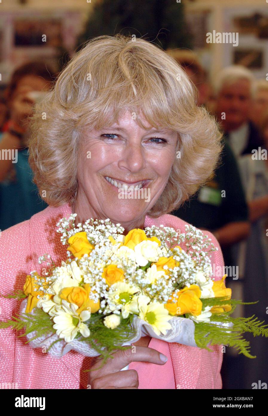 Prince Charles, patron of the Devon County Agricultural Association ...