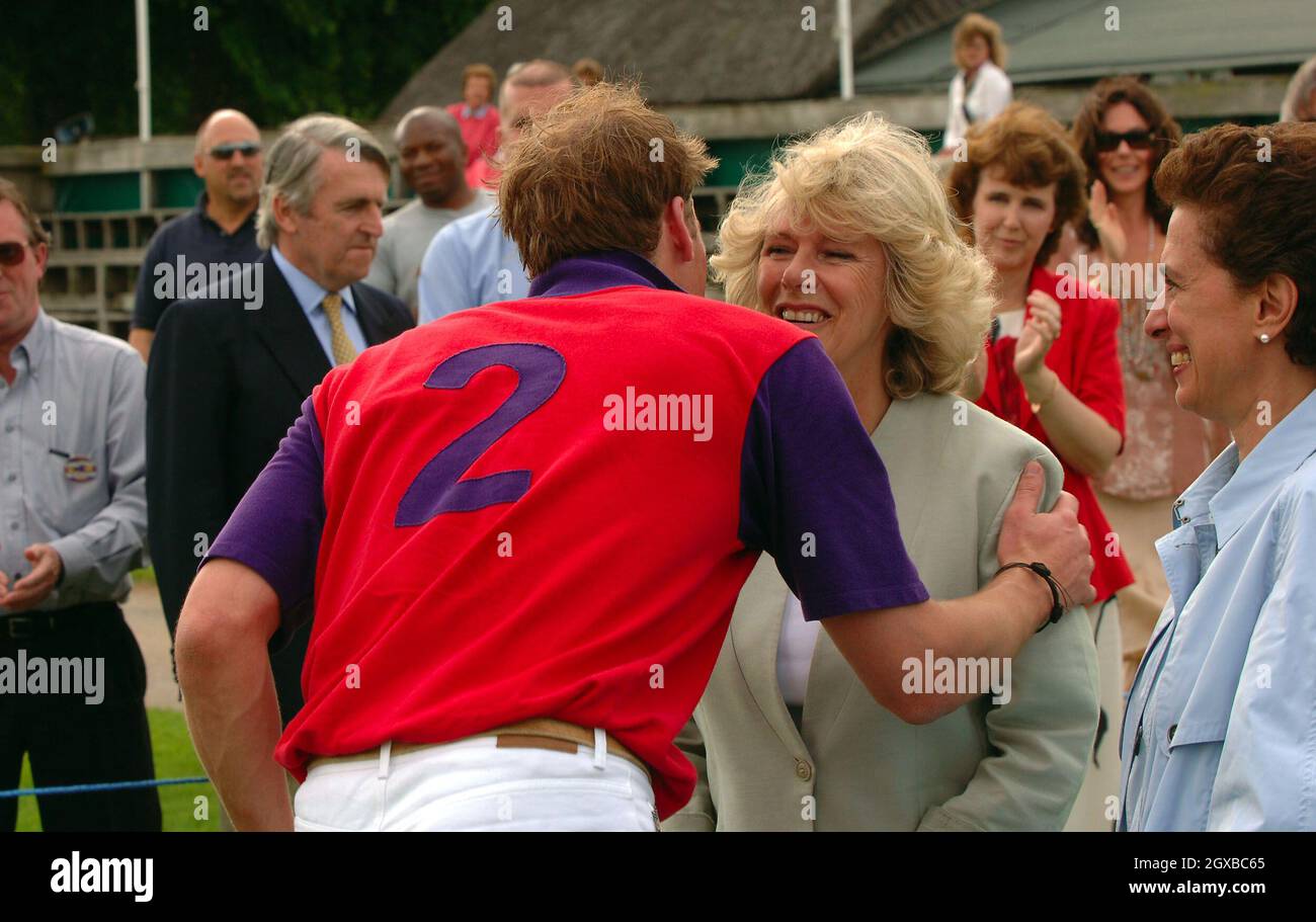 burberry william polo