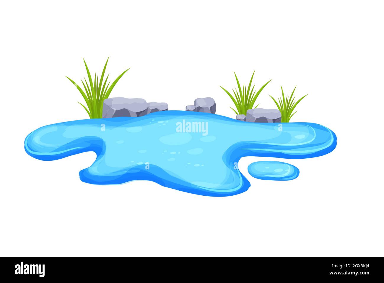 Pond, water puddle with grass and stones in cartoon style isolated on white  background. Small lake,outdoor nature decoration, oasis. Vector  illustration Stock Vector Image & Art - Alamy