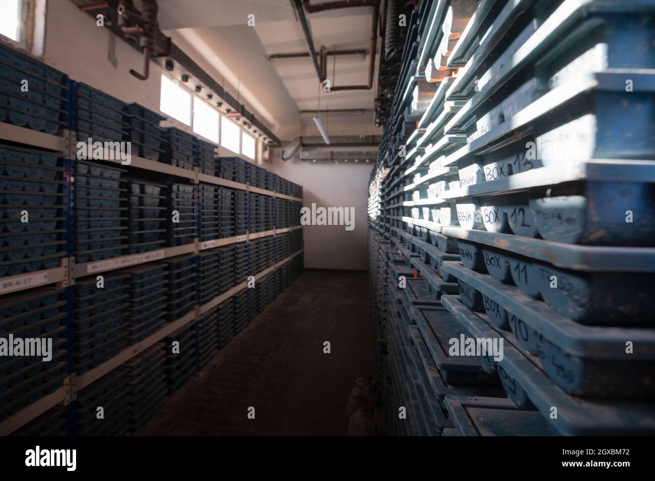 gold mining storage rock core samples geology drilling industy Stock ...