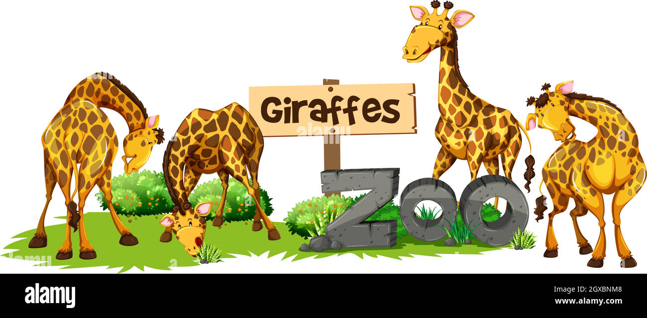 Four giraffes in the zoo Stock Vector Image & Art - Alamy