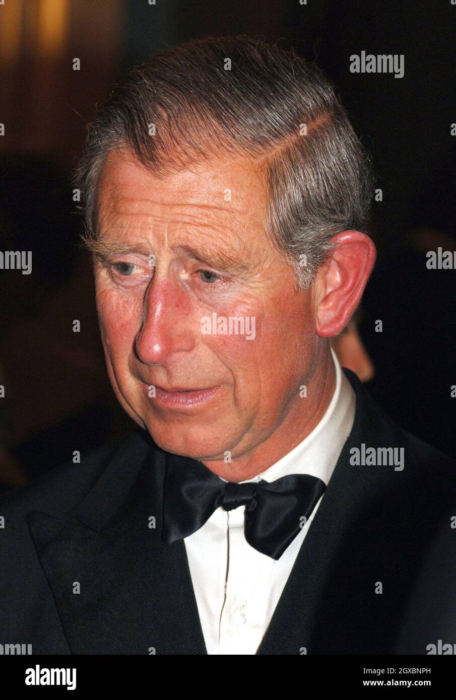 Prince Charles, Prince of Wales attends Stock Photo Alamy