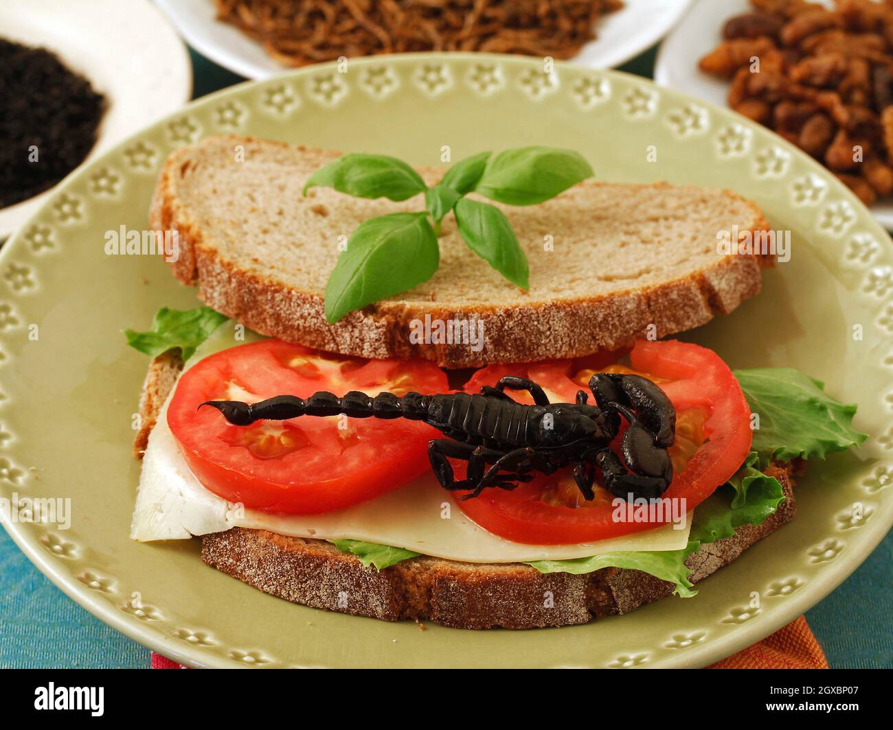 Edible arachnid and insects. Scorpion, mealworms and ants. Stock Photo