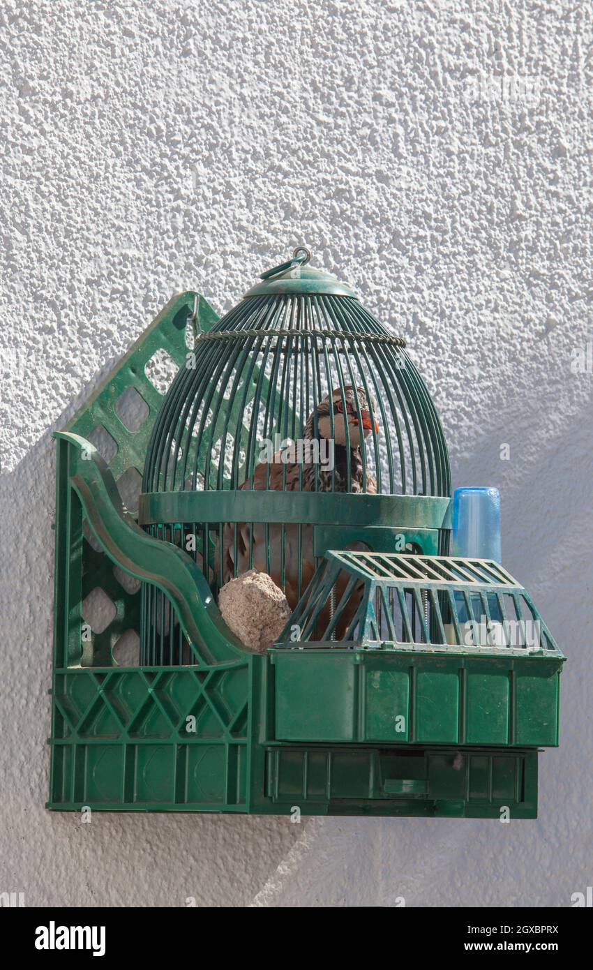 The partridge family house hires stock photography and images Alamy