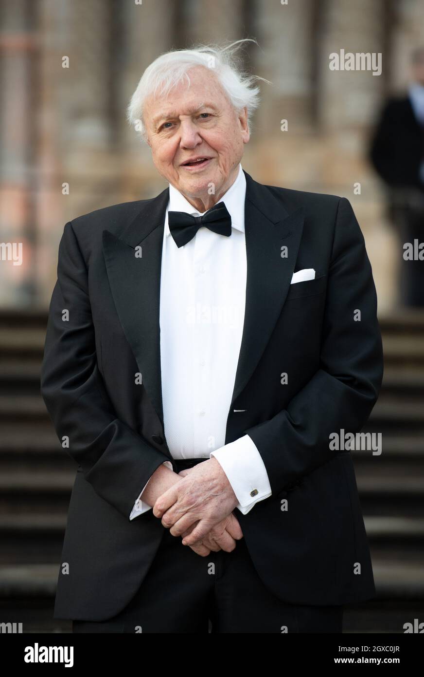 Sir David Attenborough attends the Netflix tv show premiere of 'Our Planet'  at the National History Museum in London on April 4, 2019. Stock Photo