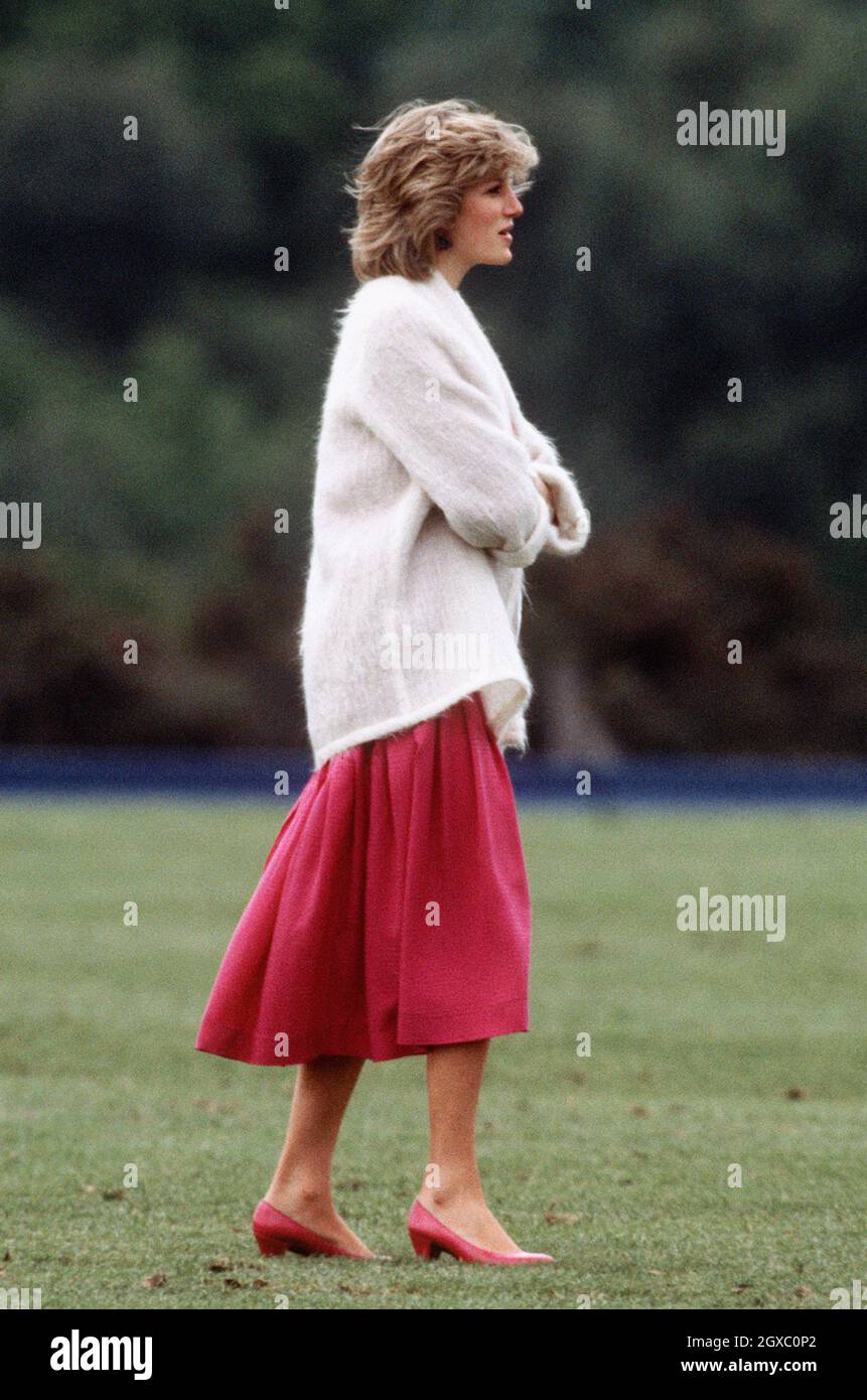 Diana, Princess of Wales in Windsor Great Park after a polo match on June 7, 1984  Anwar Hussein/EMPICS Entertainment Stock Photo