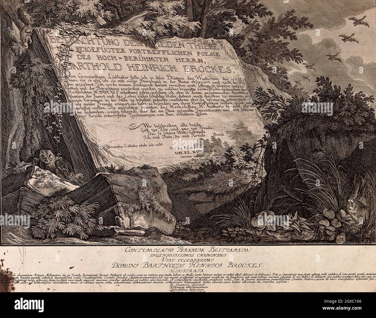 An inscribed stoneplate embedded in the ground in a forest surrounded by animals and plants. Etching by J.E. Ridinger. - Contributors Ridinger, Stock Photo