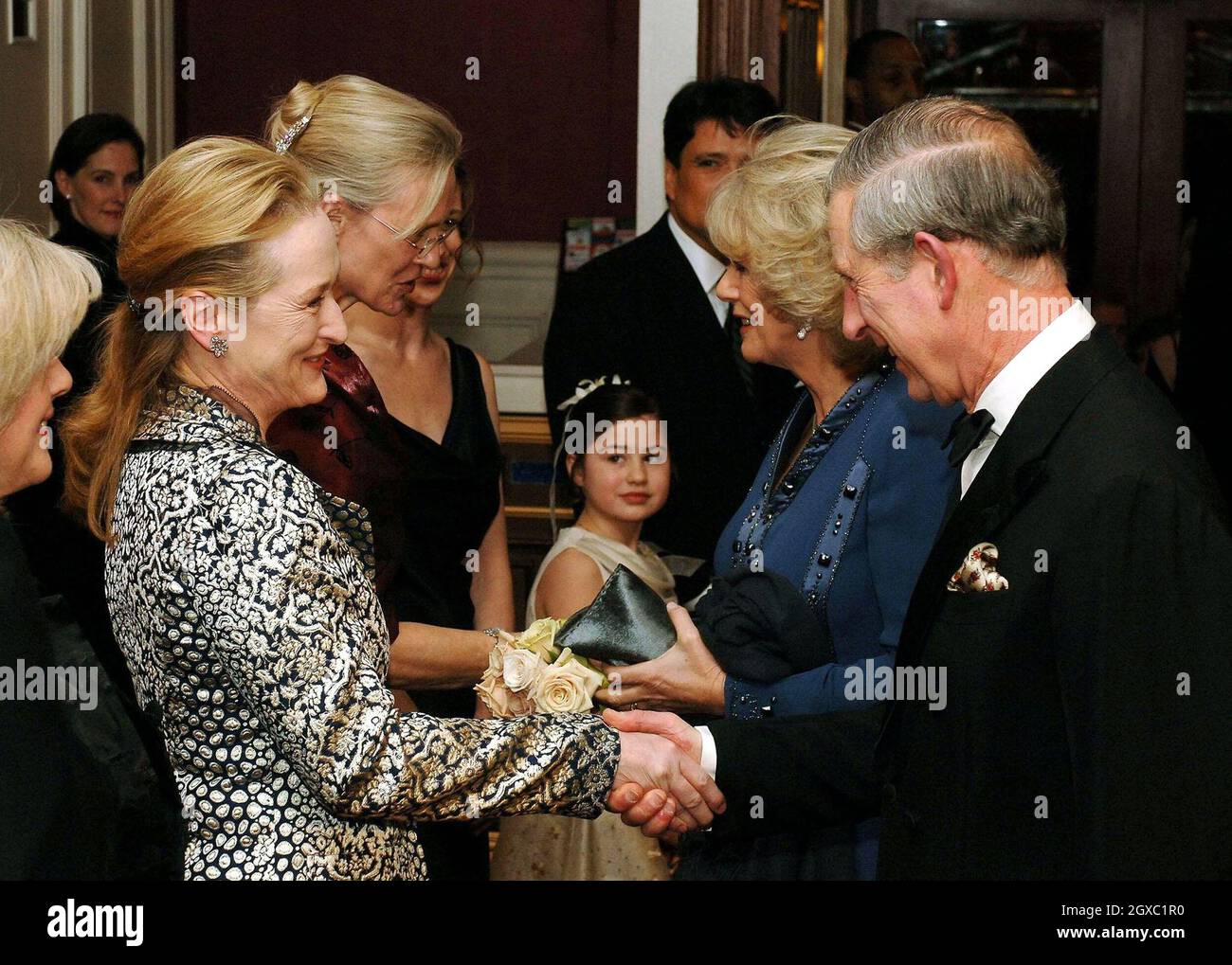 Prince Charles, Prince of Wales shakes hands with actress Meryl Streep at the Harvard Club where the Prince will receive the Global Environmental Citizen Award from Harvard medical School's Center for Health and the Global Environment on January 28, 2007 in New York. Anwar Hussein/EMPICS Entertainment  Stock Photo