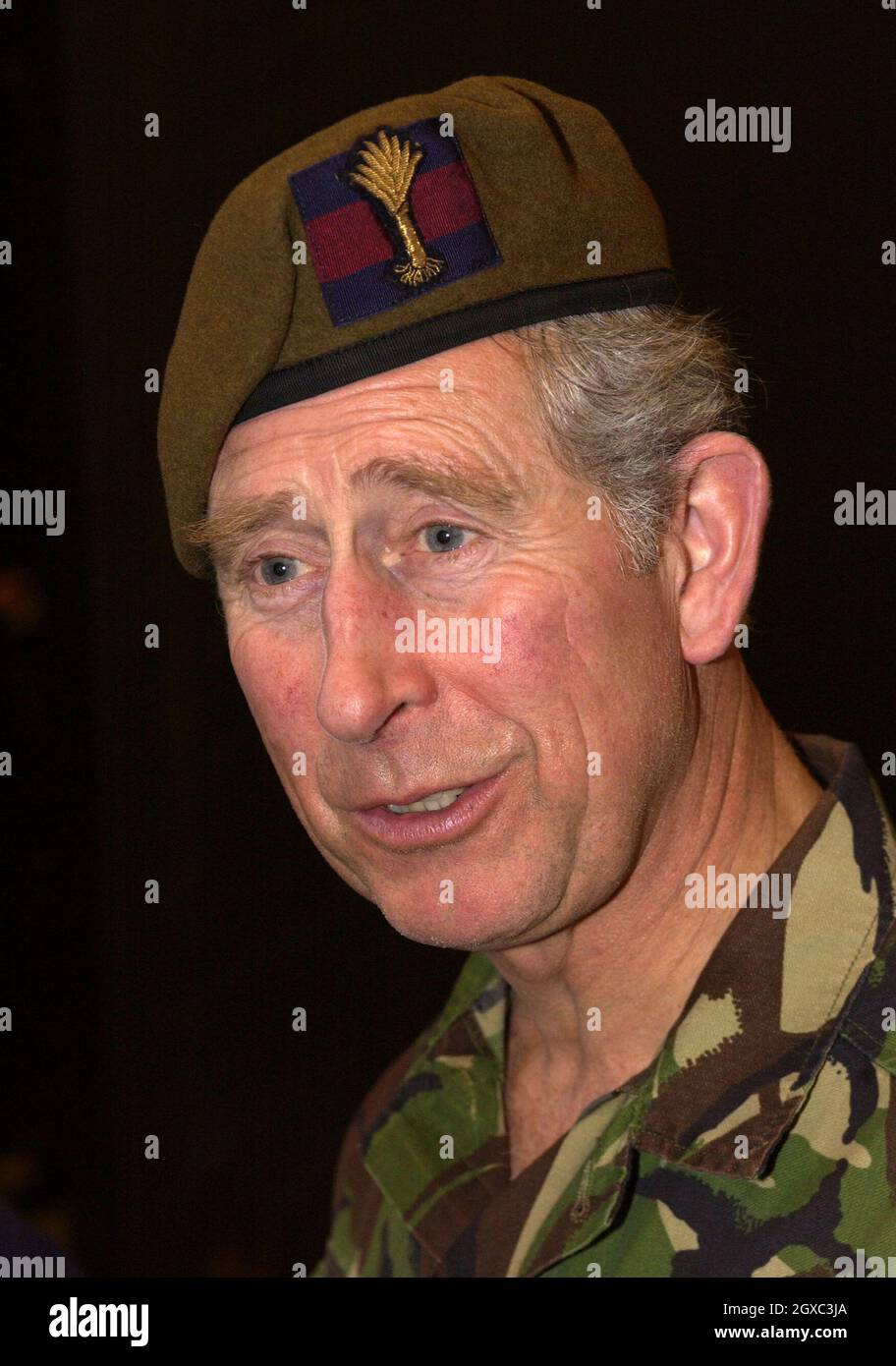 Prince Charles, Prince of Wales, wearing his uniform as Colonelin